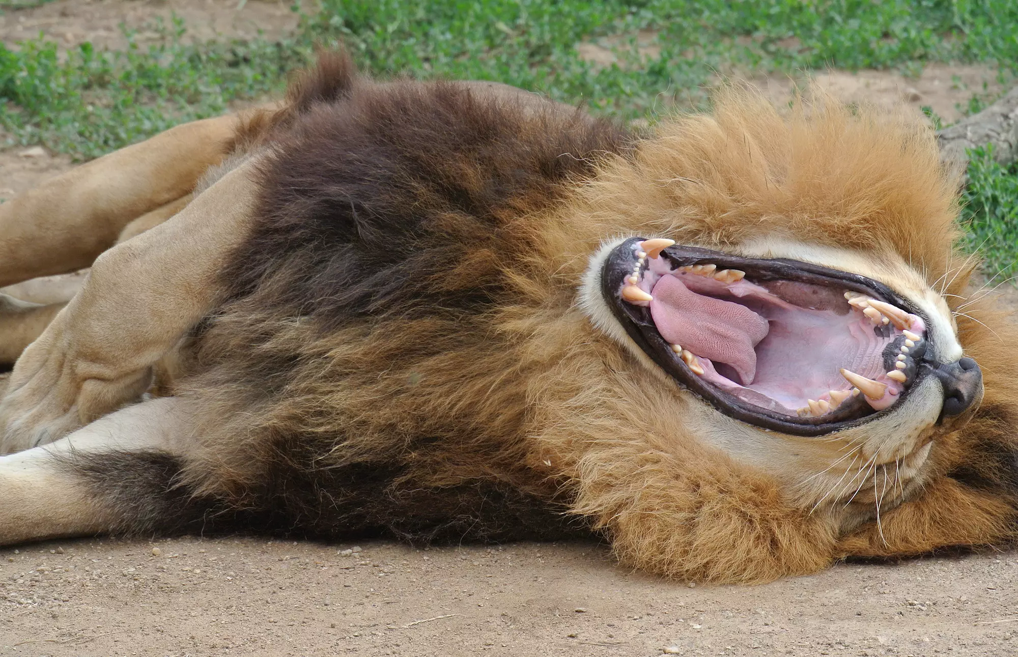 zoo Tábor